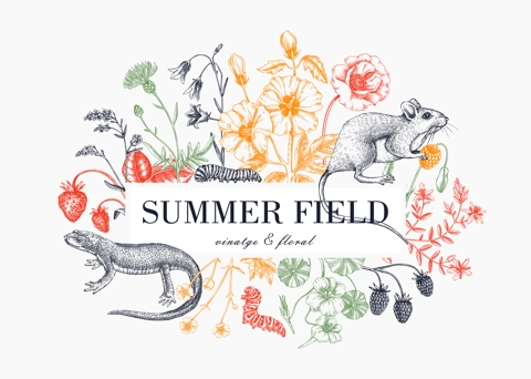 Vintage summer background. Floral frame design. Wildlife sketches. Wildflowers, meadows, herbs botanical illustration. Hand-drawn field flowers, birds, animals. Retro style invitation, frame, card.